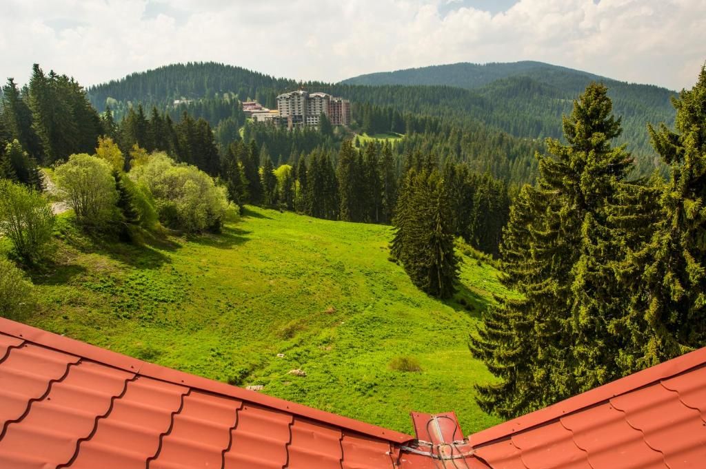 Отель Snezhanka Hotel - Half Board Пампорово