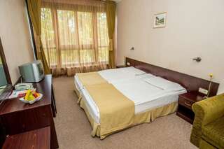 Отель Snezhanka Hotel - Half Board Пампорово Двухместный номер с 2 отдельными кроватями-4