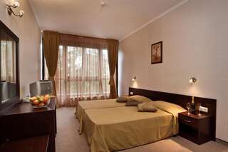 Отель Snezhanka Hotel - Half Board Пампорово Двухместный номер с 2 отдельными кроватями-9